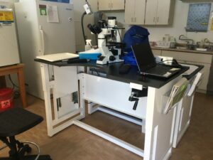 Hand Crank Microscope Table 1 1024x768 1